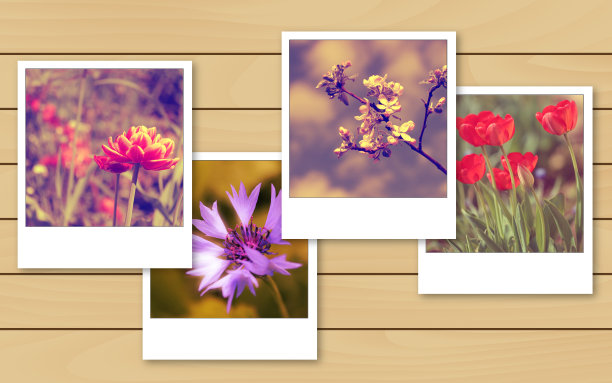 复古的花的照片图片下载