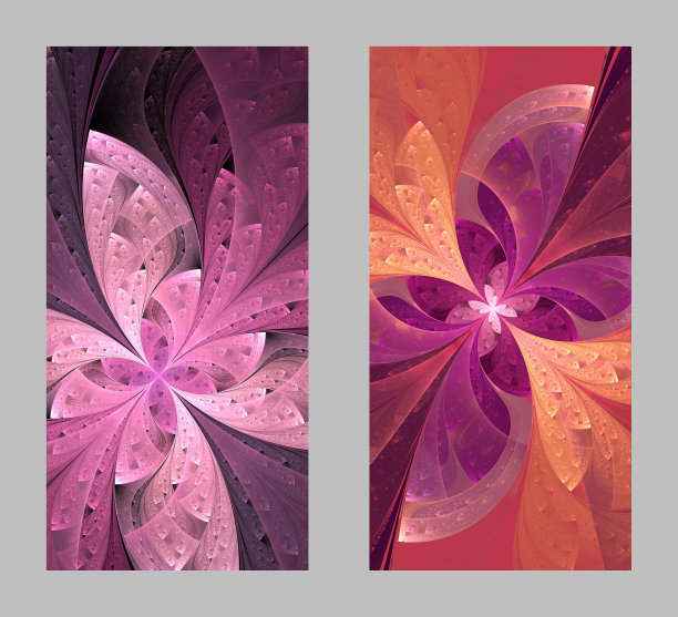 手机外壳背面采用美丽的分形图案设计图片下载