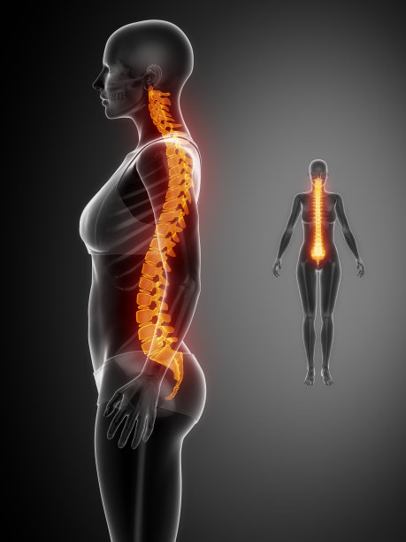 脊柱黑色x线骨扫描图片下载