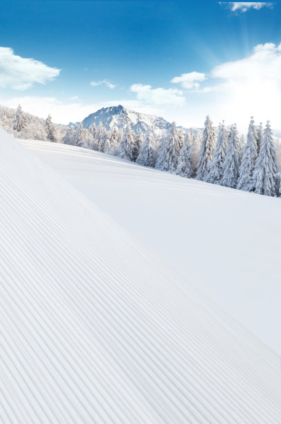 冬天下雪的景色图片下载