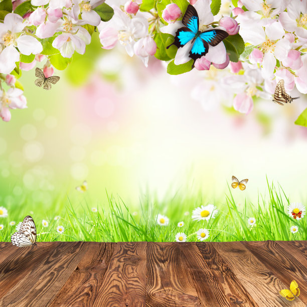 Spring背景与自由空间的文本图片下载