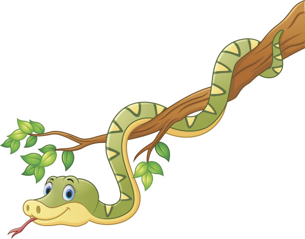 卡通绿蛇在树枝上图片下载