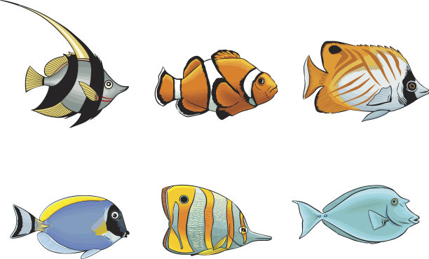 热带鱼图片下载