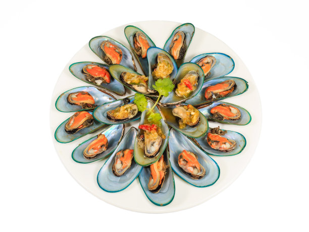 亚洲绿色贻贝图片下载