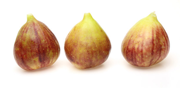 白色背景中的无花果图片下载