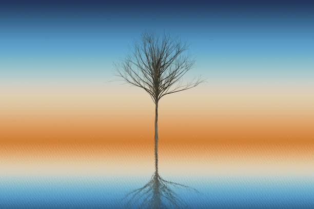 干树抽象彩色背景图片下载