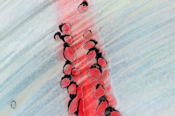 抽象水彩画的背景图片下载