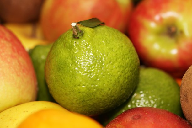 许多种水果图片下载