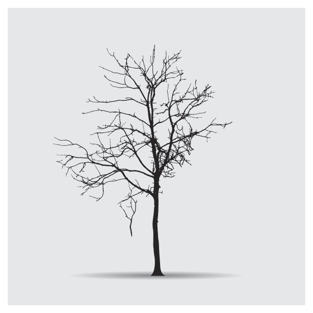 向量树的轮廓图片下载