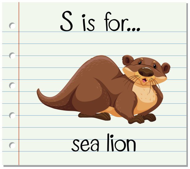 记忆卡片上的字母S代表海狮图片下载