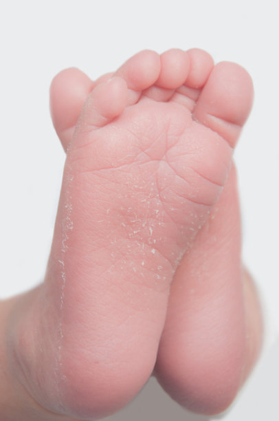 天使的脚图片下载