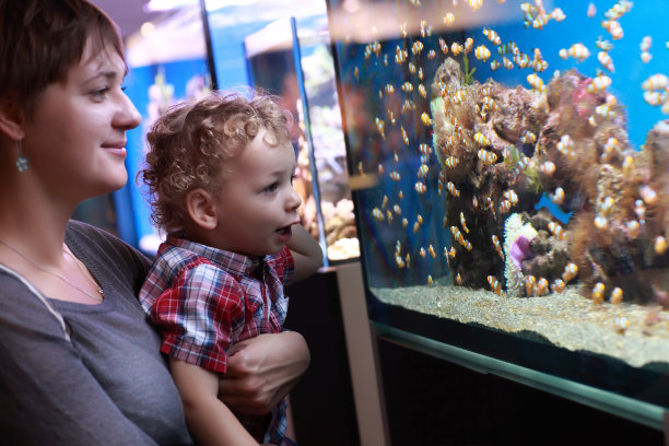 母子在看鱼素材图片