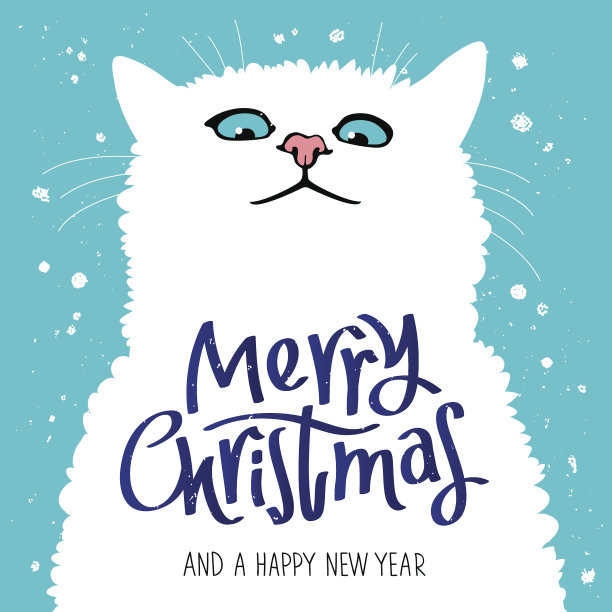 图可爱的猫。圣诞快乐图片下载