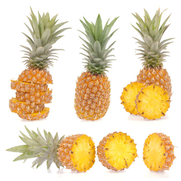 菠萝集合图片下载