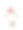 火鸡图片下载