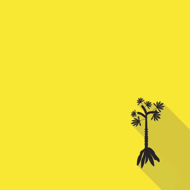 黄色背景上有长长的阴影的木薯图标。图片下载