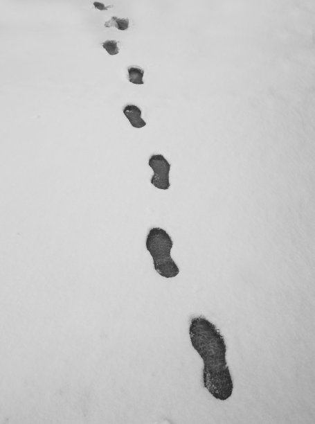 深雪中的足迹图片下载