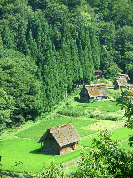 白川go -传统房屋图片下载