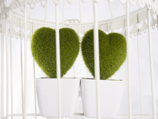 关在笼子里的两颗心图片下载