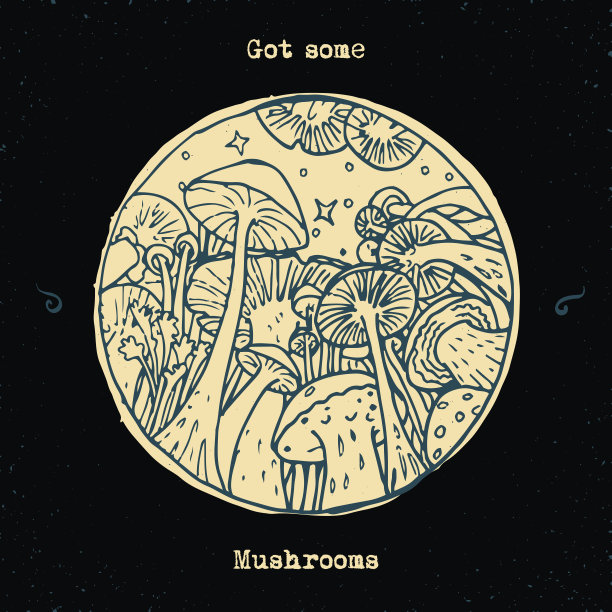 有一些蘑菇图片下载