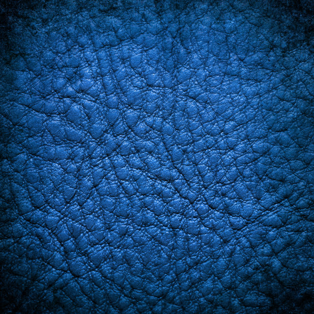 蓝色的皮革图片下载