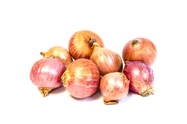 洋葱图片下载