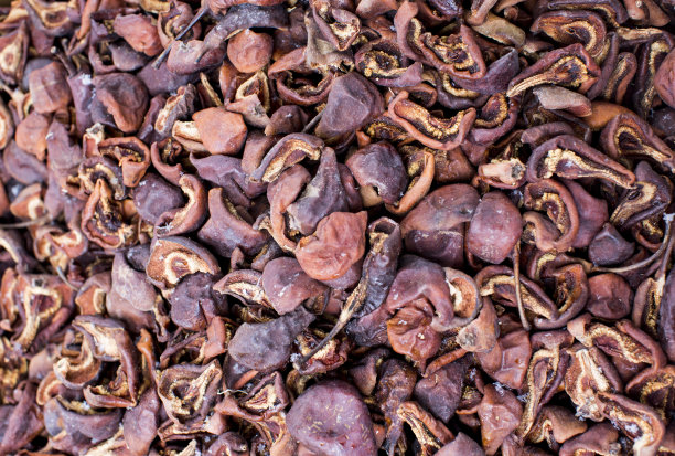 干燥的梨图片下载