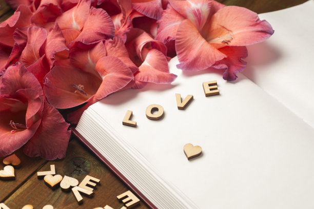 打开灯桌上的书。图片下载