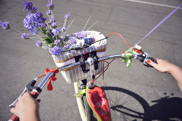 女性手和方向盘的复古自行车图片下载
