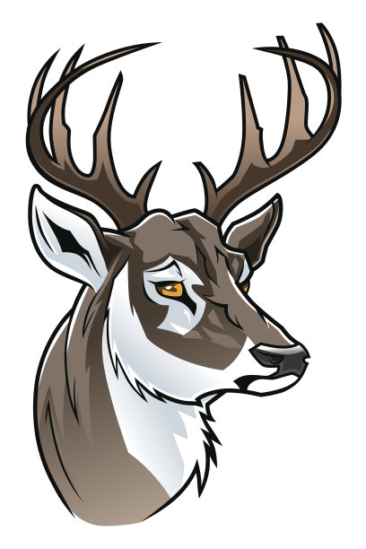 鹿头图片下载