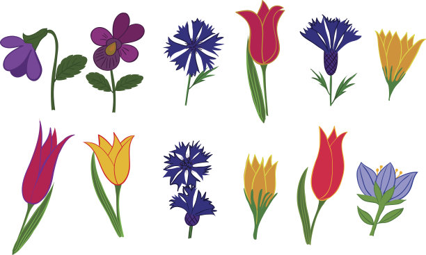 一组不同的花的图像。图片下载