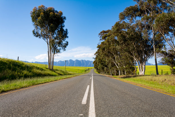 南非从Outshoorn到Hermanus的公路图片下载