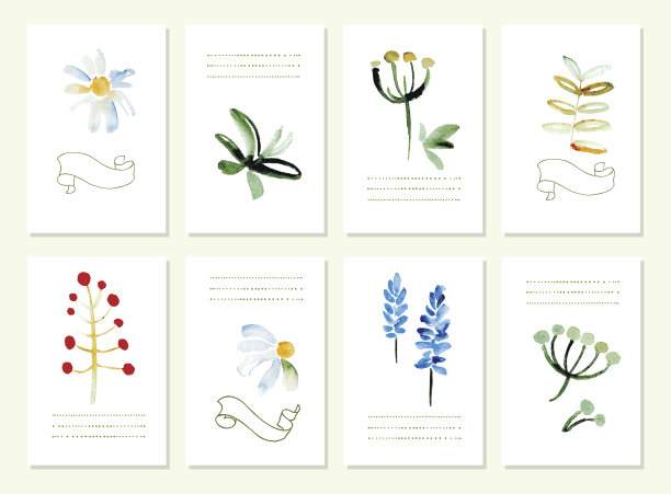 手绘的浪漫的花邀请收集。孤立。图片下载