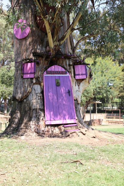 树屋。图片下载