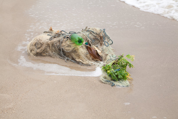 海滩上缠结的渔网图片下载