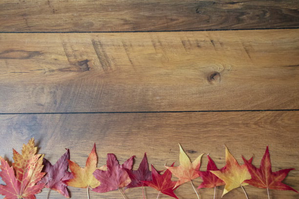 秋天背景图片下载