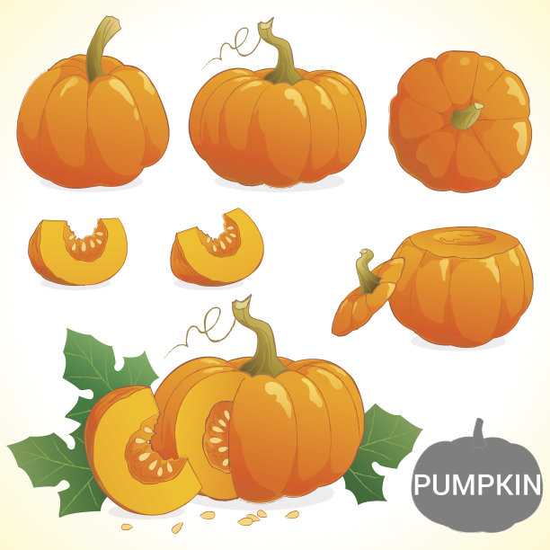 在各种风格的南瓜向量格式的集合图片下载