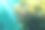 阳光透过红海的水珊瑚所产生的影响图片下载