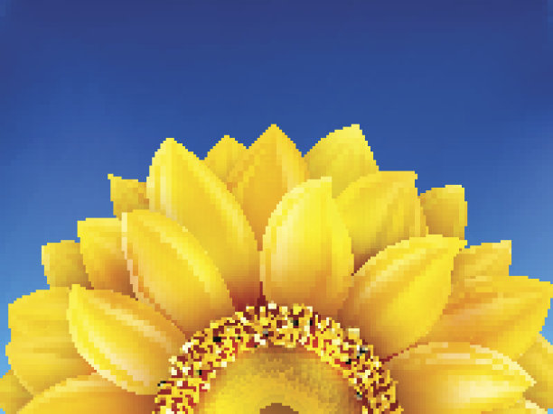 向日葵和蓝天的背景。每股收益10图片下载