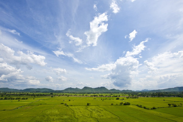 绿色的稻田和湛蓝的天空图片下载