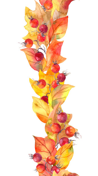 红色的叶子,浆果。无缝的秋天。水彩画条纹图片下载