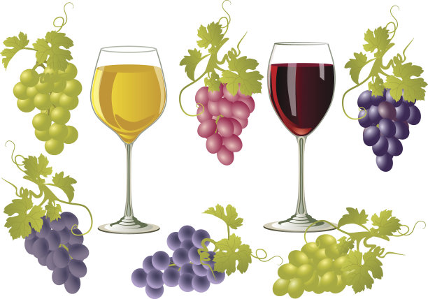 矢量插图的酒杯和葡萄串。素材图片