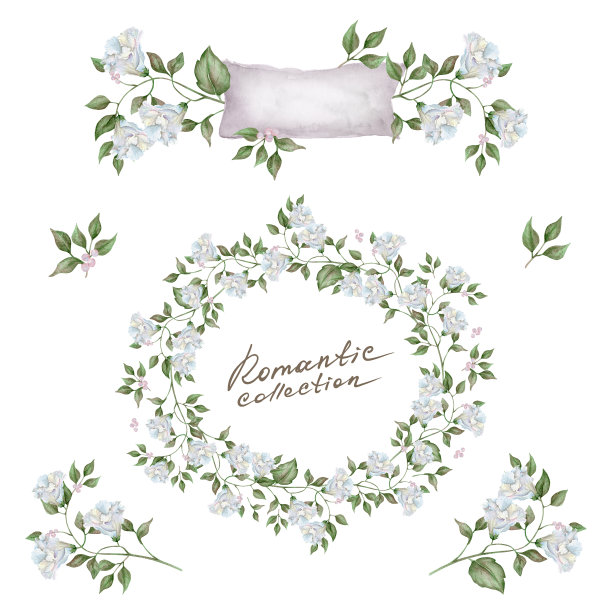 精致的水彩花卉套装。图片下载