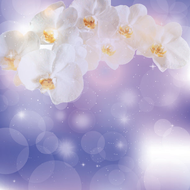 矢量插图的小枝，白色兰花在紫色的背图片下载