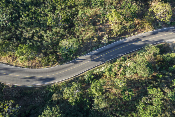 森林中的路图片下载