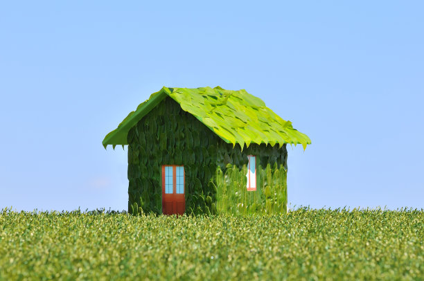 树的房子图片下载