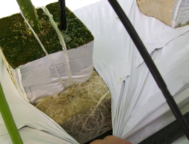 温室矿棉图片下载