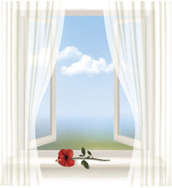 背景是一扇开着的窗户和一朵红色的花。向量。图片下载