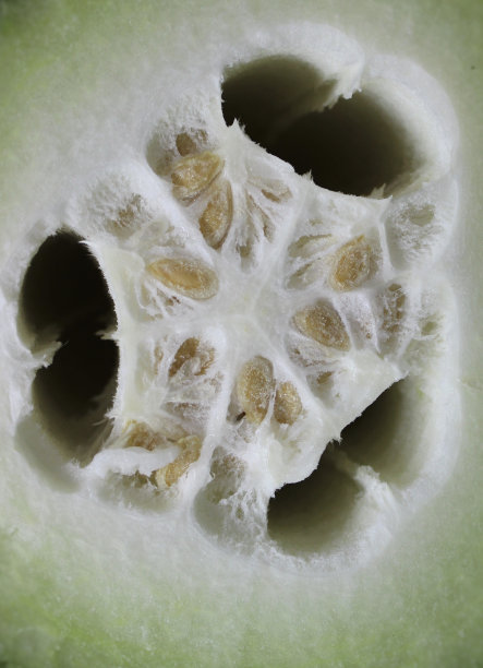 切西瓜。图片下载