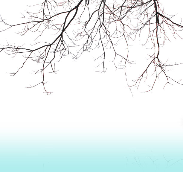 分公司在水面上图片下载